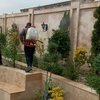 رضا نودهانی