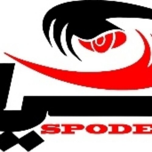 سید علی مرتضوی