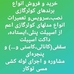 امیرحسین رمضانی