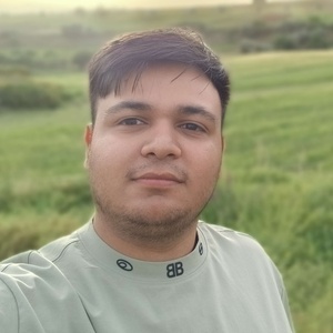 محمد مهدی زندی