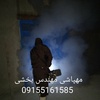 علیمحمد بخشی