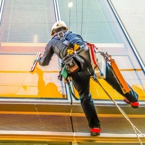 سیروس دادور