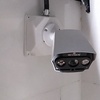 مجتبی امیری اصل
