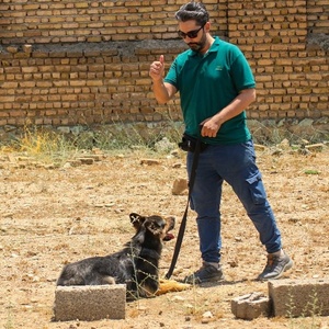 سید احسان جاسمی