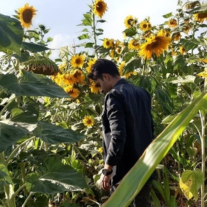 جلال حضرتی کاشی