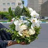 عماد میرالی