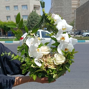 عماد میرالی