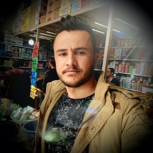 سید علی موسوی