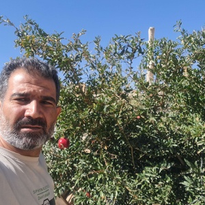ابوالقاسم بیگی