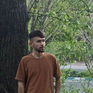محمد محمودی