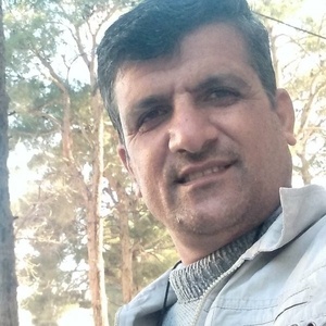 محمد بختیاری