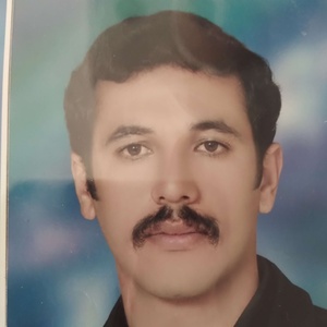 علی صفی