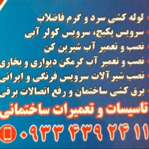 حامد علی یاری