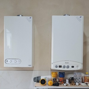 رضا کرمی اسبویی