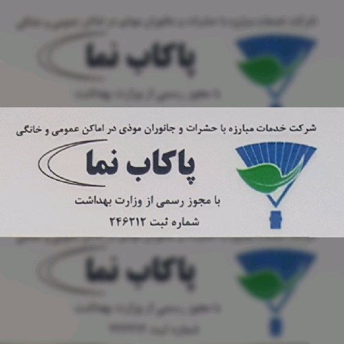 گرگین خاضعی