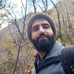 ابراهیم پاپی راد