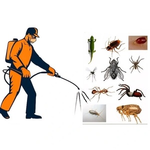 امیر حسین عباسی سربندی