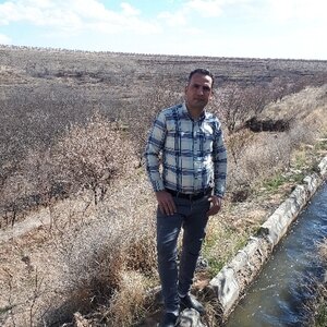 محمدتقی نکوهش