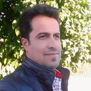 مهدی رزمجویی