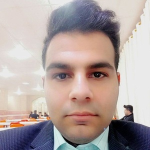 مجتبی ملکی زاده