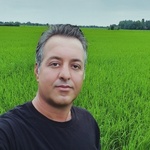 محمد رضا مرادی