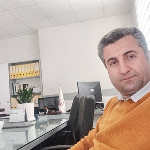 مصطفی پورقلی ولدی