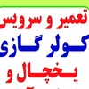 عالیه فرجی