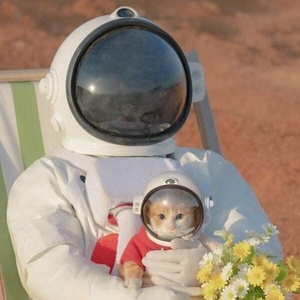 الهام توتونچی