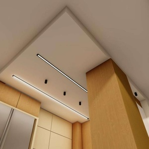 امیر حسن یادگار