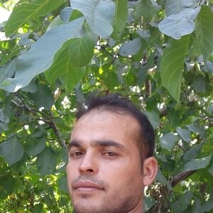 هادی قهرمانلو