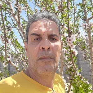 ابراهیم فرهادی آورگانی