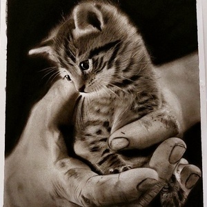 سیده سمیه غیرتمند فاروجی