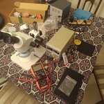 محمد رضا کمالی دولت ابادی