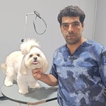 میلاد پرویزیانی