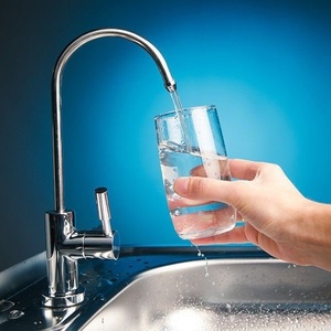 سعید جلوه زاده