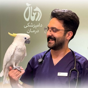 سیدعابد میرباقری