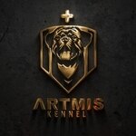 مهسا رزاق زاده