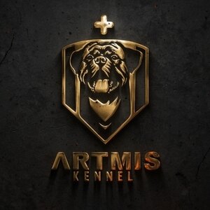 مهسا رزاق زاده