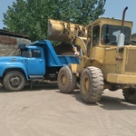 مجید عباسی دلوحسن