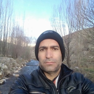 محمود گودرزی