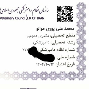 محمد علیپوری موالو