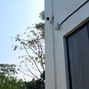 مهیار پورعباسی