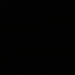 سالار فردی نژاد