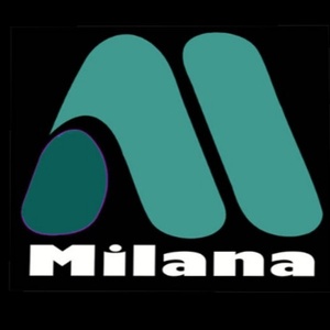 سید مهدی محمدی