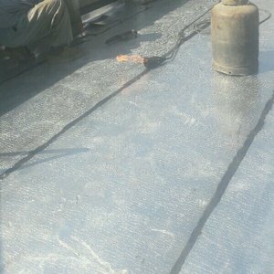 سعید وصال منفرد