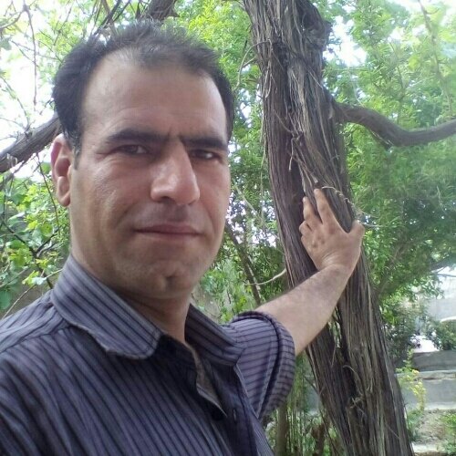 محمد دهفولی