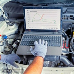 حمید صالحی شکارسرائی