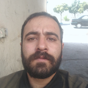 آرمین صفائی