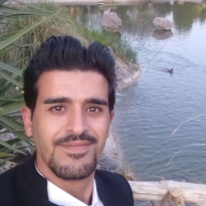 رضا اصلانی