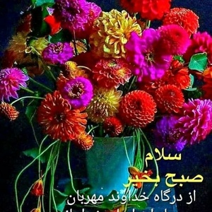مجید احمدی